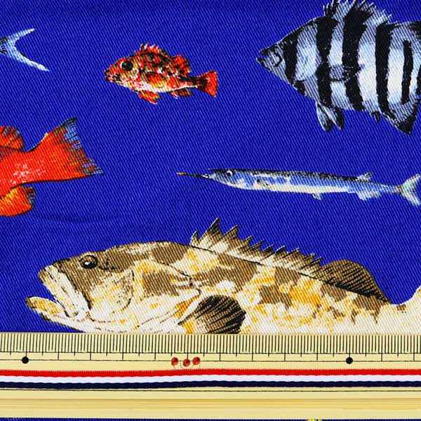 【生地A】魚
