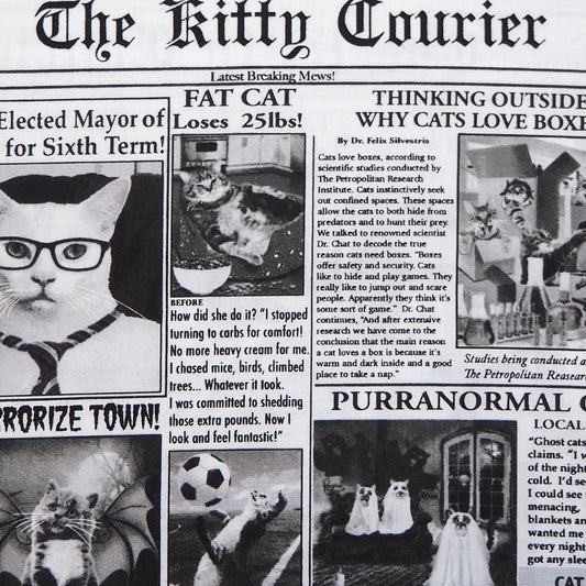 【生地A】キャット新聞