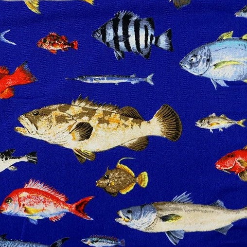 【生地A】魚