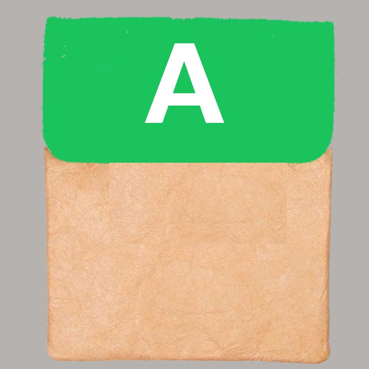 【封筒型】TYPE④ 外観:BODY Tyvek®